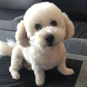 Meet your Posher, Jenn